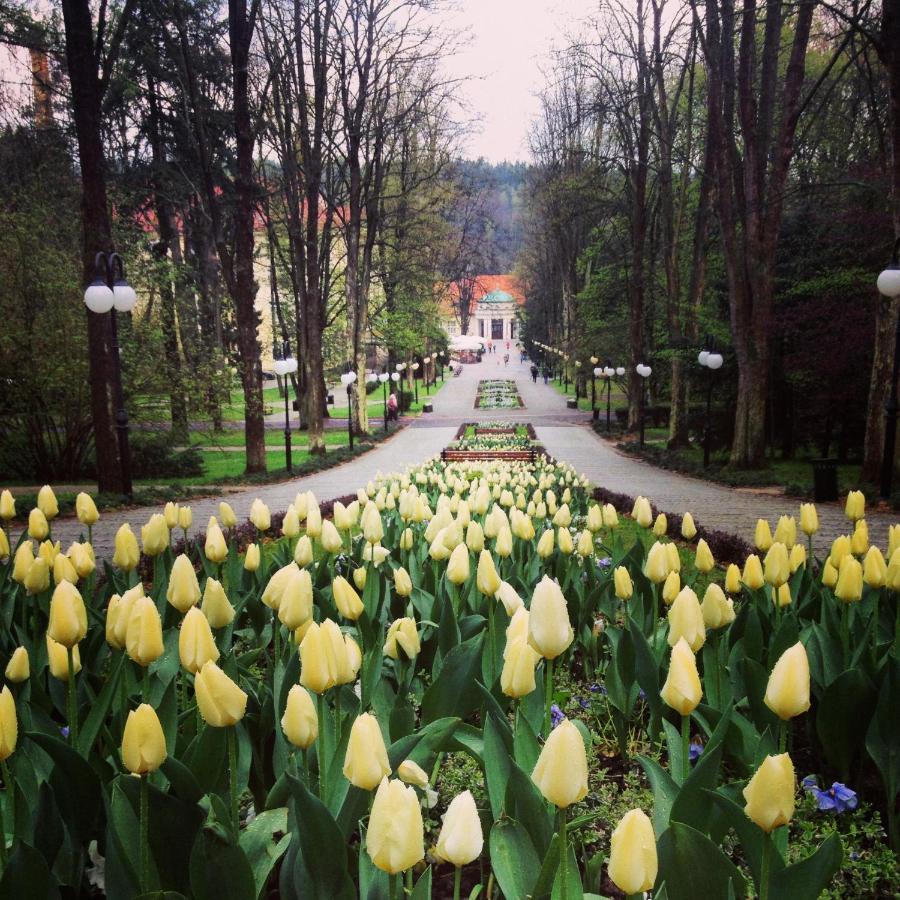 Villa Filmowiec Поляница-Здруй Экстерьер фото